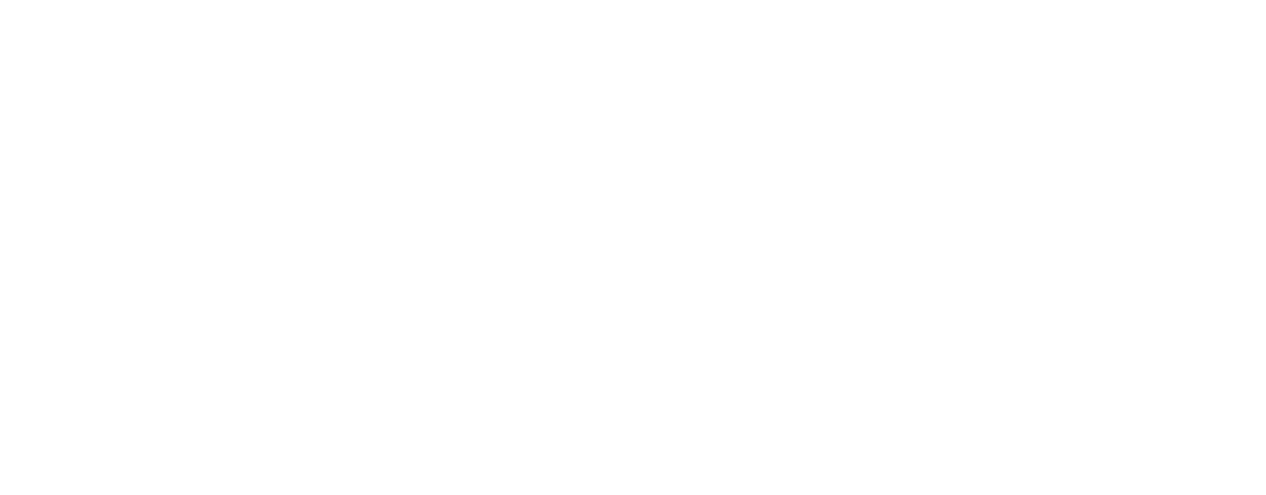 Countries Transverologistics serves