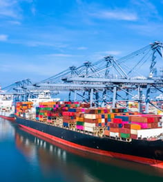 Transverologistics fleet